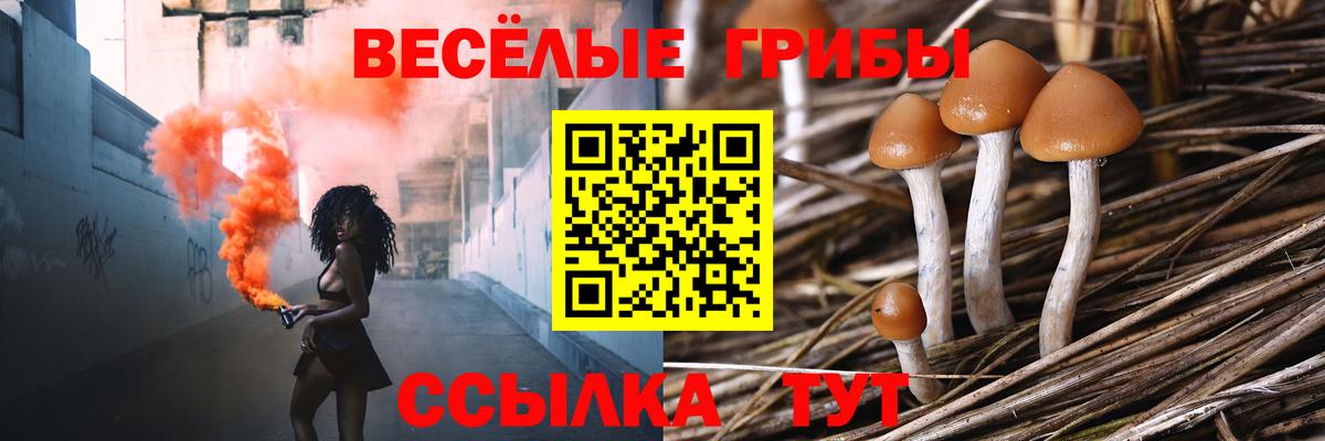 Галлюциногенные грибы MAGIC MUSHROOMS Зеленокумск